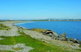 Foulney Island