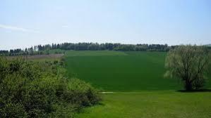 Heinberg