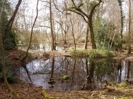 Thompson Water