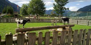 Dorf der Tiere