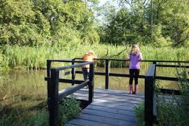 Hirst Wood Nature Reserve