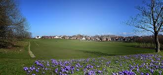 Kingscote Park