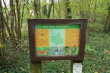 Wolves Wood RSPB Reserve