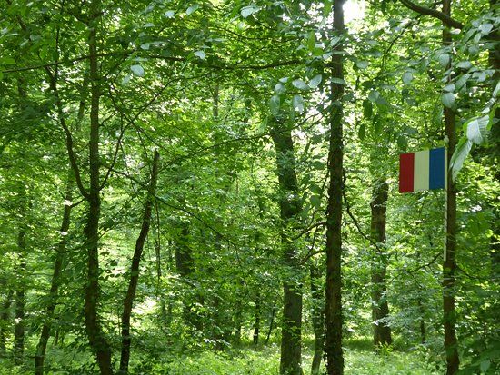 La Stele du Sergent Pilote Vincent Maurice Lucien