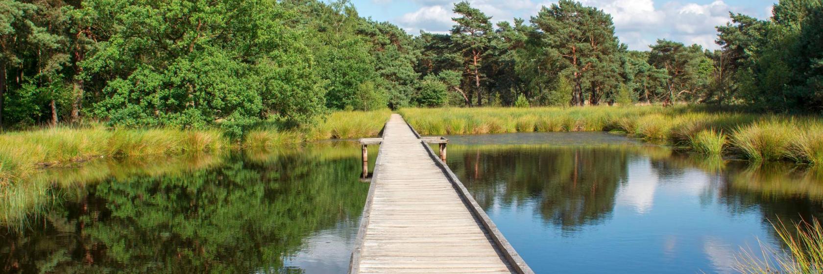 Parque nacional De Maasduinen