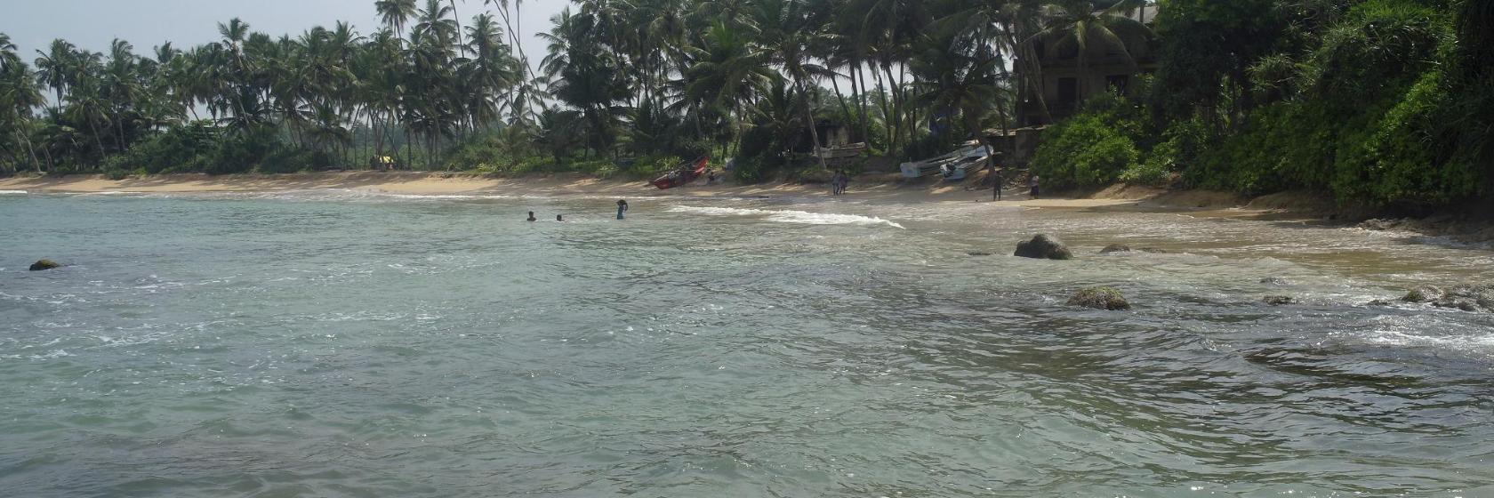 Hikkaduwa Coral Reef