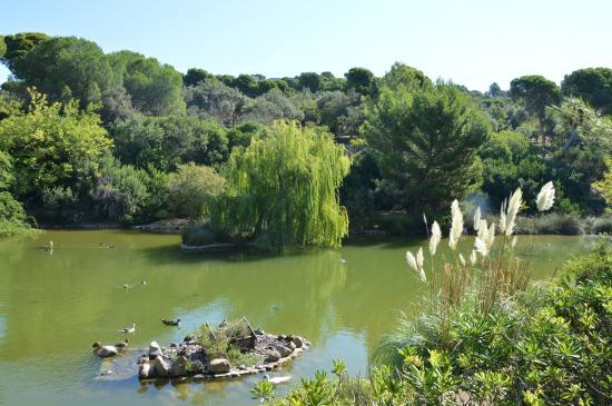 Monte Urpinu