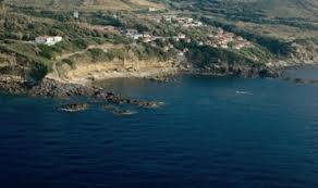 Li Paddimi