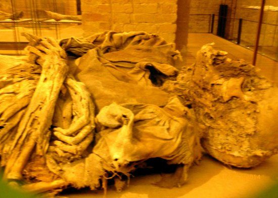 Museo della Cripta