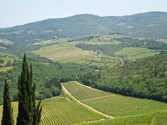 Castle of Verrazzano