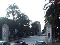Alameda de Alfonso XI