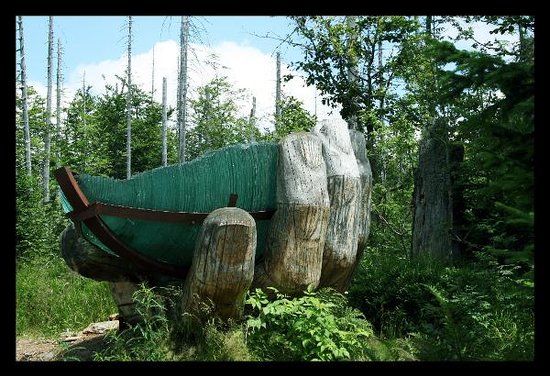 Tierfreigelände im Nationalparkzentrum Lusen