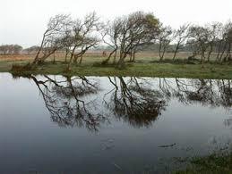 Oasi WWF Palude di Bolgheri