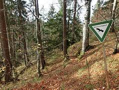Rohrbachtobel im Wierlinger Forst