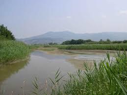 Oasis de Focognano