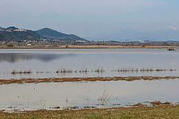 Lac de Bientina