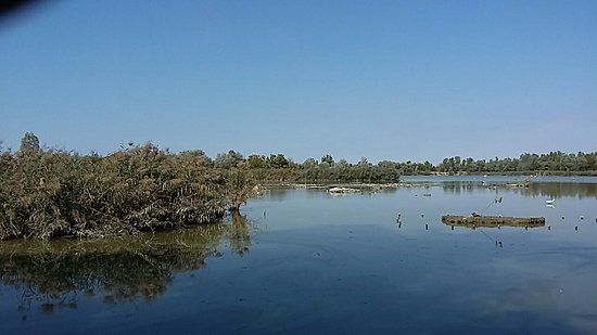 Riserva Naturale di Torrile e Trecasali