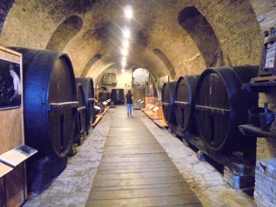 Museo di Storia dell'Agricoltura e del'Artigianato