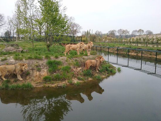 Zoo Parc Overloon