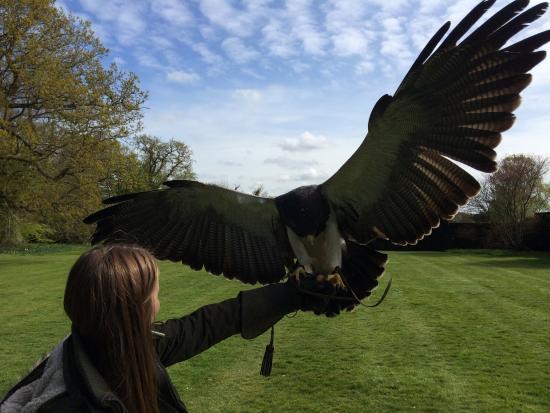 The Hawking Centre