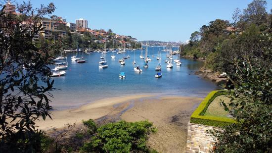 Cremorne Point to Mosman Bay Walk