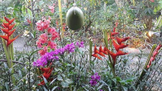 Adventure Farm and Nature Reserve
