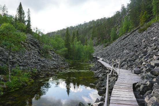 Nationaal park Pyhä-Luosto