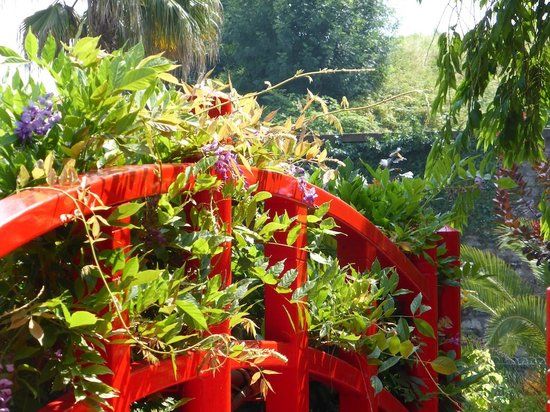 Jardín Botánico de Bayona