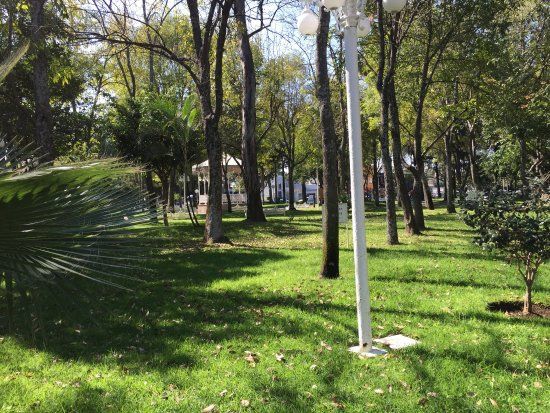 Jardín Del Arte De La Glorieta Chapalita