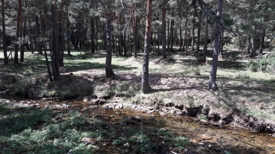 Fuente Sanza