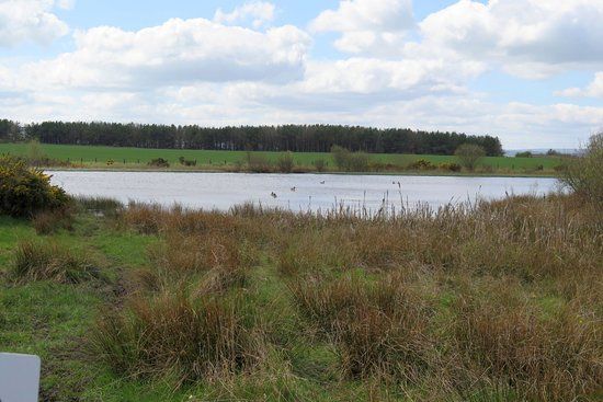 Chapman's Well Local Nature Reserve