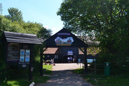 Marsh Farm