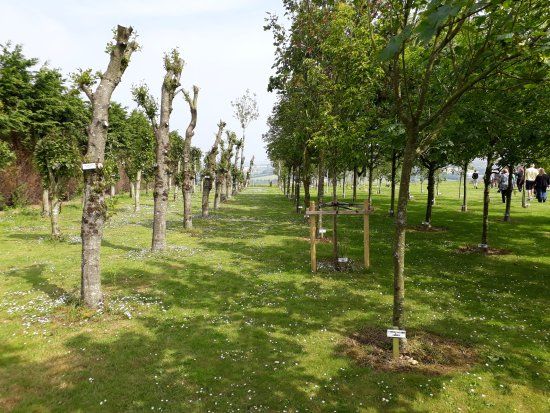 Ringfinnan Garden of Remembrance