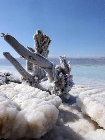 Dead Sea