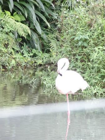 Gulang Island Bainiao Garden