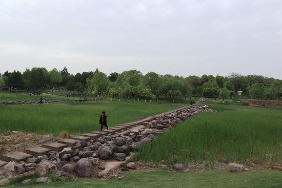 Futian Wet Land Park