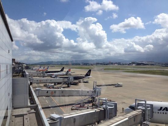 福岡空港国内線展望室