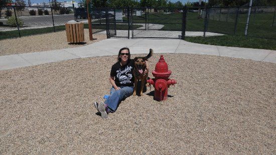 Storey Bark Park