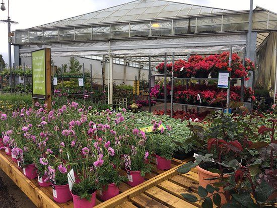 Otter Nurseries Garden Centre