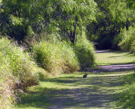 Hugh Ramsey Nature Park