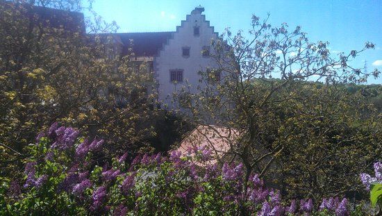 Schloss Liebenstein