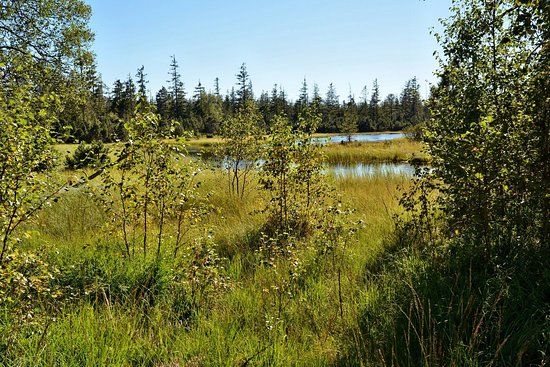 Großer Hohlohsee