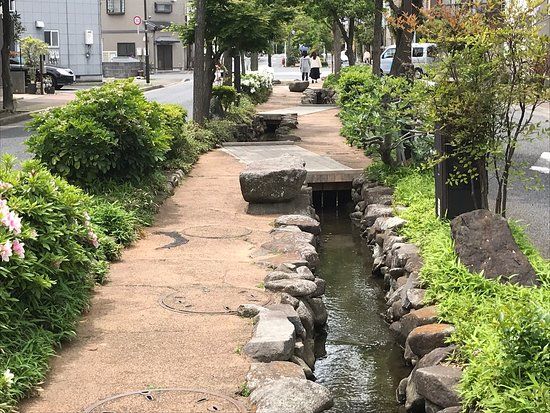 葛西親水四季の道