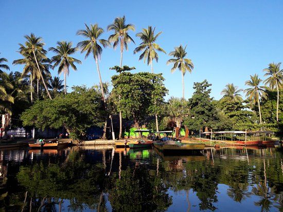 Biotopo Monterrico-Hawaii