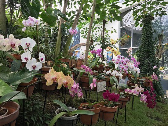 Orquidario de Morelia