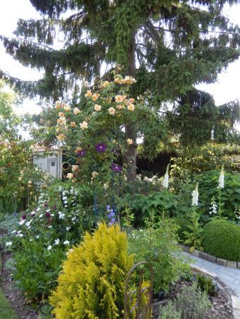 Le Jardin du Presbytère