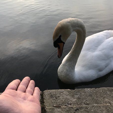 Southfield Farm Marsh