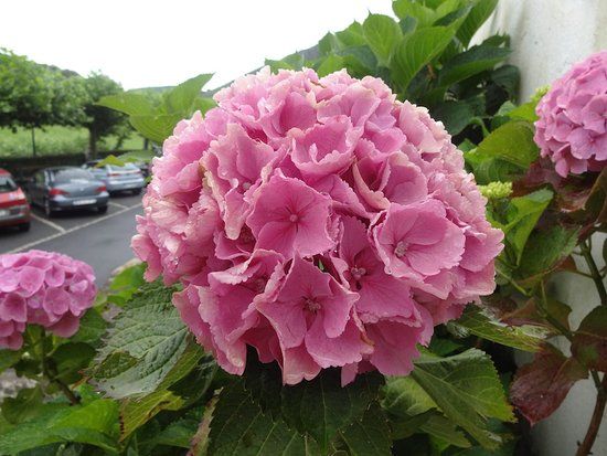 Église Saint-Martin