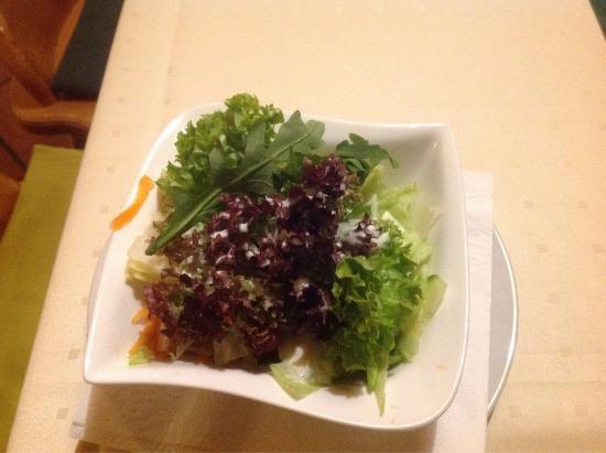 Landhotel Goldener Pflug