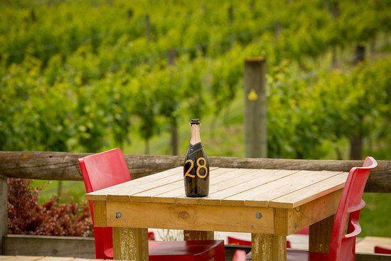 The Vineyard Cafe at Margrain Vineyard